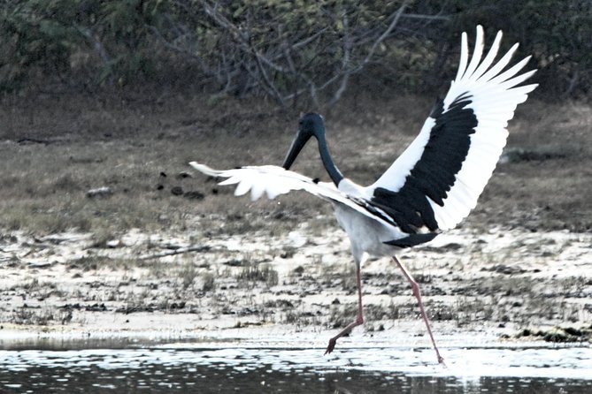 Bundala Birding Paradise - All Inclusive Tour - Exploring Bundalas Diverse Wildlife