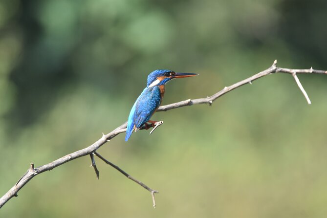 Bundala Birding Paradise - All Inclusive Tour - Customer Feedback and Recommendations