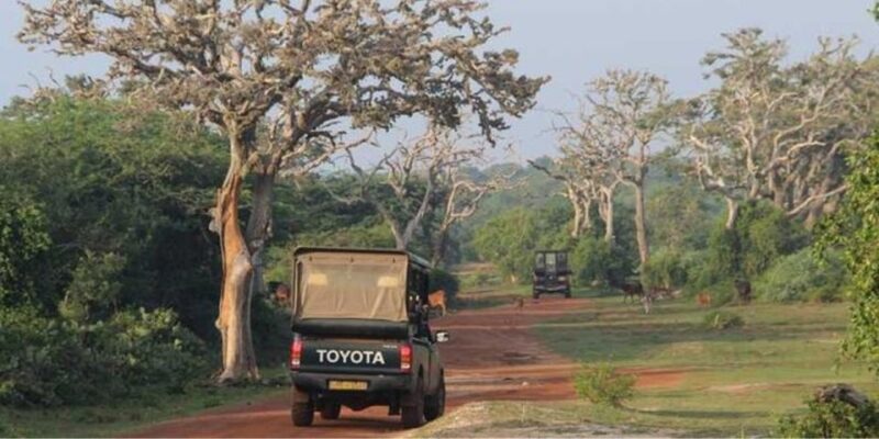 Bundala: Full Day Safari With Picnic Lunch From Hambantota! - Inclusions