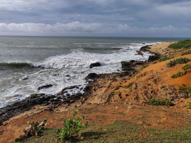 Bundala National Park: 3-Hour Morning or Evening Safari - Group Size and Meeting Point