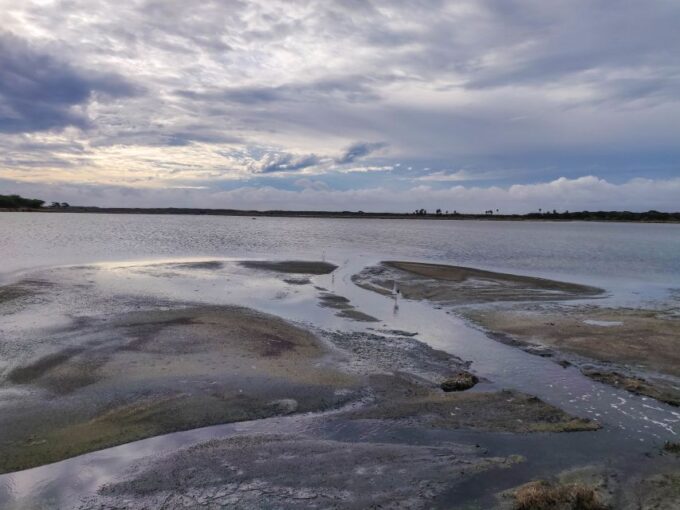 Bundala National Park: 3-Hour Morning or Evening Safari - Inclusions and Exclusions