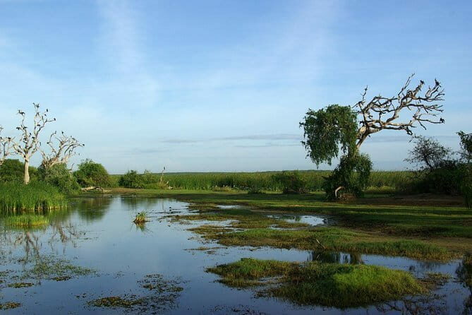 Bundala National Park by Ajith Safari - Who Should Consider This Safari?