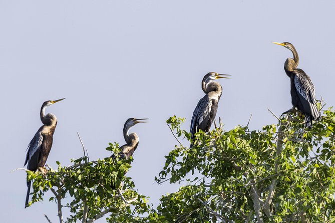 Bundala National Park Private Safari - Safari Jeep and Guides
