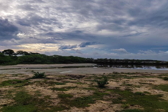 Bundala National Park Private Safari - Birding Opportunities