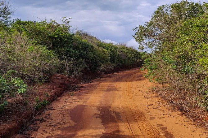 Bundala National Park Private Safari - Timing and Seasonality