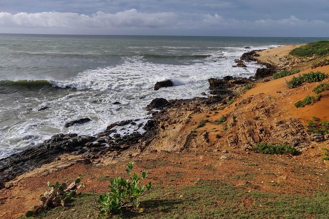 Bundala National Park Private Safari - Costs and Inclusions