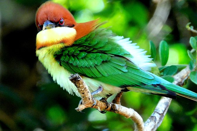 Bundala National Park Safari (PRIVATE TOURS)- Morning & Afternoon - Meeting and Pickup Locations