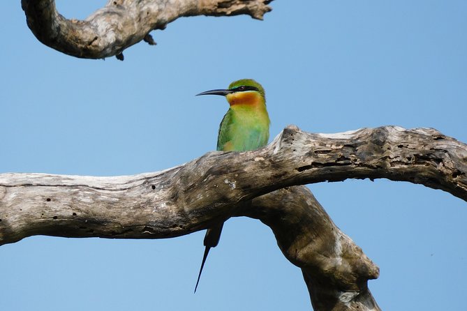 Bundala National Park Safari (PRIVATE TOURS)- Morning & Afternoon - Prices and Booking Information