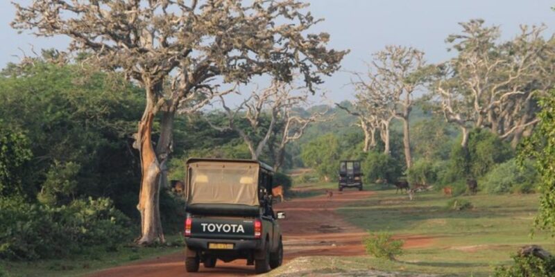 Bundala National Park Twilight Wildlife Expedition - Key Points