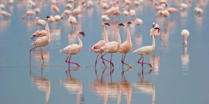 Bundala National Park Twilight Wildlife Expedition - Booking and Cancellation Policy