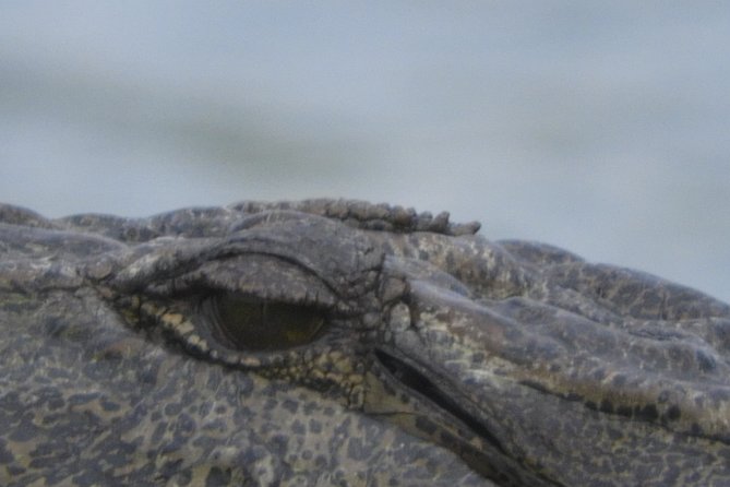 Bundala Safari Private Tours at Bundala National Park - Park Fees and Inclusions