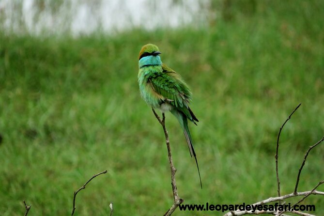 Bundala Safari Private Tours at Bundala National Park - Cancellation and Refund Policy
