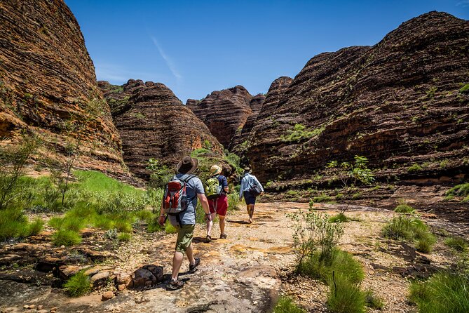Bungle Bungle Flight & Domes To Cathedral Gorge Walking Tour - Meeting and Pickup Details