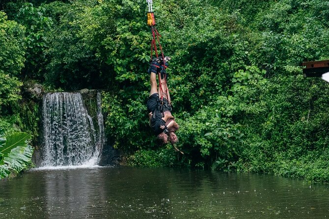 Bungy Jump Experience at Skypark Cairns by AJ Hackett - Key Points