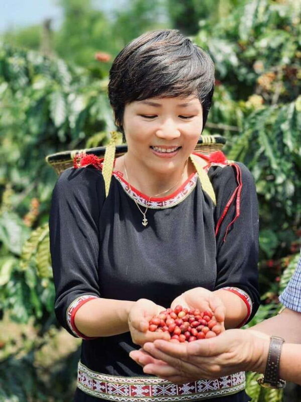 Buon Ma Thuot: Authentic Coffee Farm Experience With Lunch - Highlights and Experiences