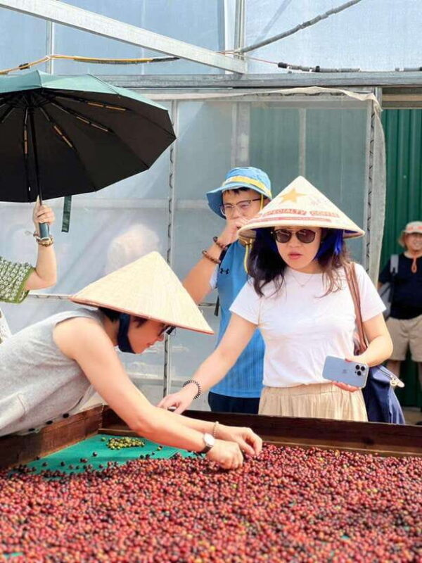 Buon Ma Thuot: Authentic Coffee Farm Experience With Lunch - Inclusions and Exclusions