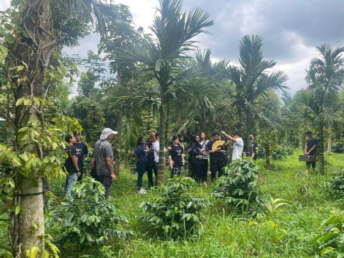 Buon Ma Thuot: Coffee Farm Tour (Bean to Brew) With Pickup - Getting to the Coffee Farm