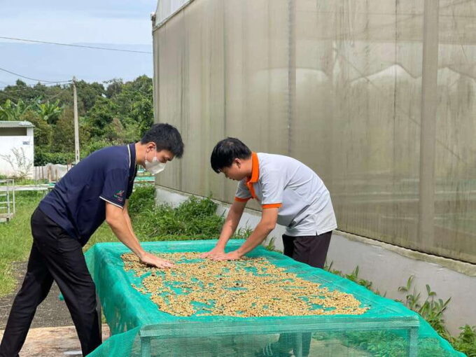 Buon Ma Thuot: Coffee Farm Tour (Bean to Brew) With Pickup - Exploring the Coffee Cultivation Process