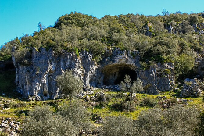 Buracas Do Casmilo Private Hiking Tour From Coimbra - Reviews and Feedback