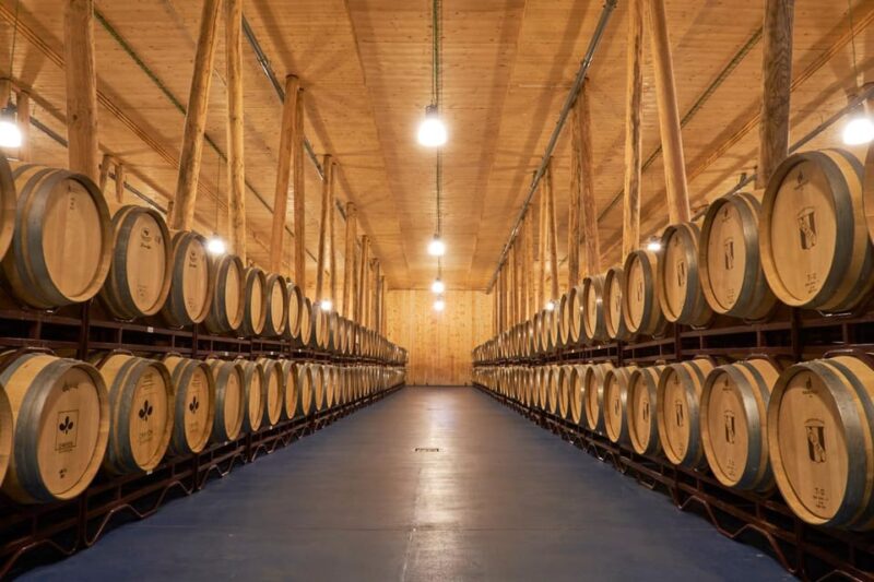 Burgos: Bela Winery - Villalba De Duero - Exploring the Vineyards and Winemaking Facilities