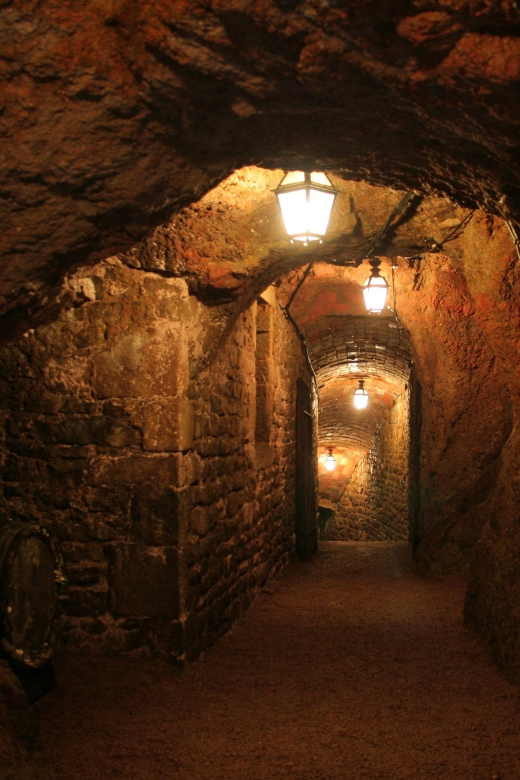 Burgundy: Audio-Guided Tour of Château De Couches - Inclusions and Exclusions