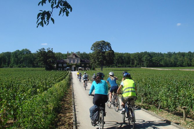 Burgundy Bike Tour With Wine Tasting From Beaune - Tasting Regional Wines and Lunch
