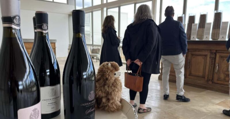 Burgundy-Chablis Wine & Cheese Tasting Private Trip 15 Glass - Wine Tastings and Experiences