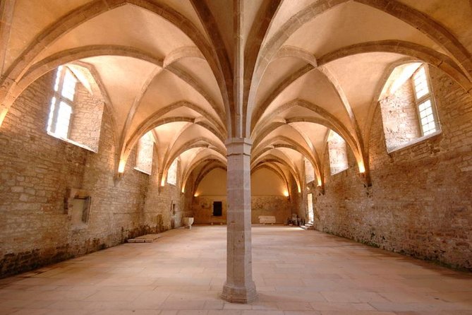 Burgundy Cluny Abbey Entrance Ticket - Cluny Abbey Opening Hours