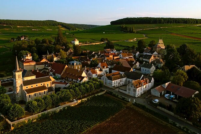 Burgundy Grand Crus Route Day Tour - 12 Wines Tastings in Domains - Exploring the Burgundy Region