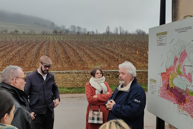 Burgundy Grand Crus Route Day Tour - 12 Wines Tastings in Domains - Burgundy Wine Classifications