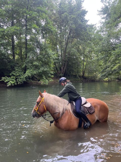 Burgundy: Horse Riding Tour in Chablis - Discovery Package: 1-Hour Horseback Ride