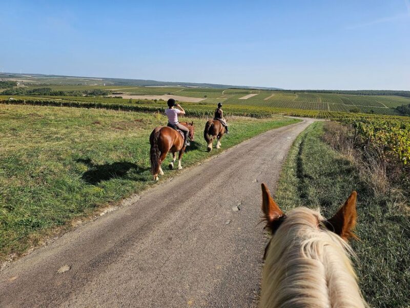 Burgundy: Horse Riding Tour in Chablis - Frequently Asked Questions