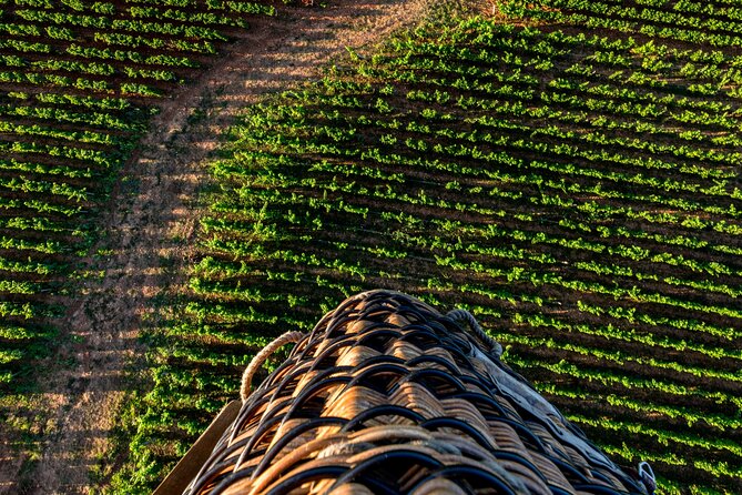 Burgundy Hot-Air Balloon Ride From Beaune - Inclusions and Extras