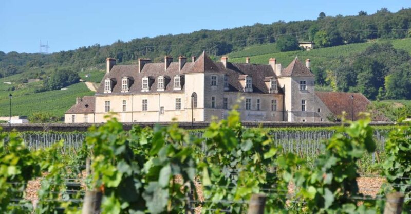 Burgundy Luxury Half–Day Côte De Nuits Vineyards Tour - Booking Information