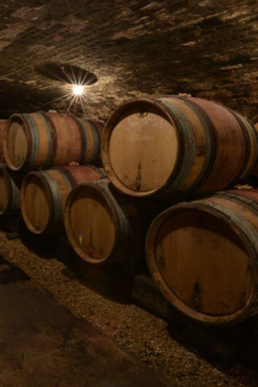 Burgundy Luxury Half–Day Côte De Nuits Vineyards Tour - Experience Highlights
