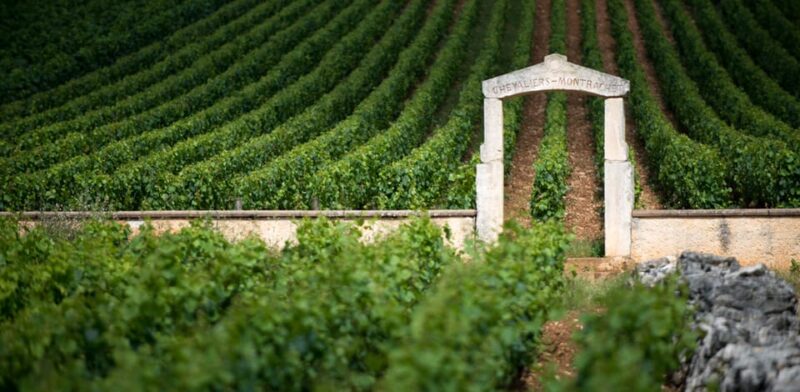 Burgundy Vineyards: Luxury Private Tours - Itinerary Highlights