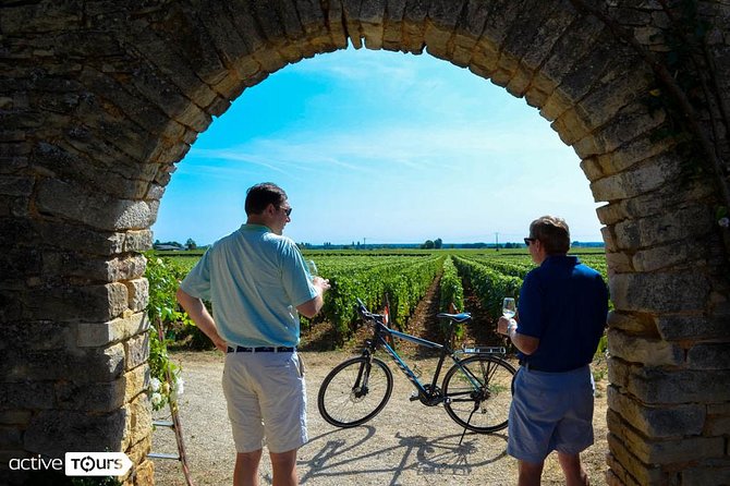 Burgundy Wine Trail From Beaune to Macon - Booking and Pricing