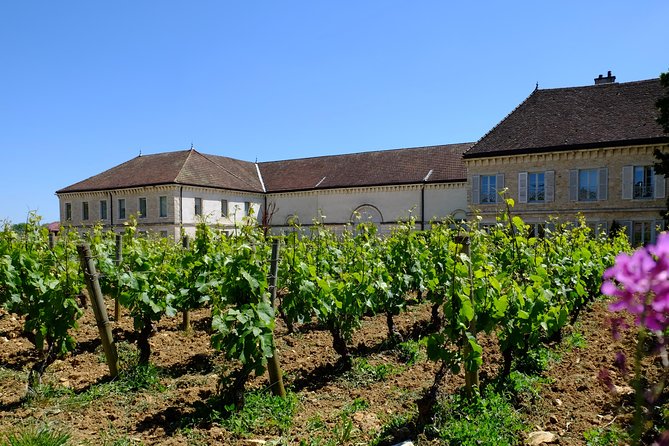 Burgundy Wine Trail From Beaune to Macon - Local Operator Assistance