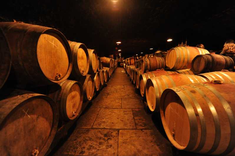 Burgundy Wines Full-Day Tasting Tour From Dijon - Key Points
