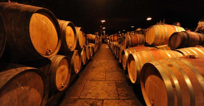 Burgundy Wines Full-Day Tasting Tour From Dijon - Itinerary Highlights