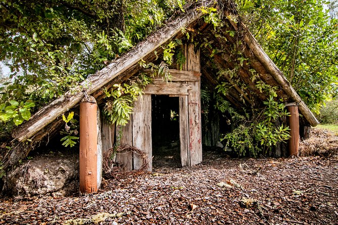 Buried Village of Te Wairoa - Waterfall Trail and Scenic Views