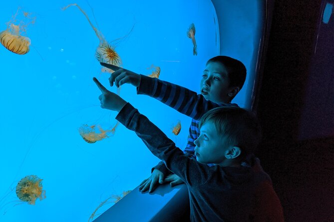 Burj Khalifa and Dubai Aquarium Combo Admission Ticket - Customer Ratings and Feedback