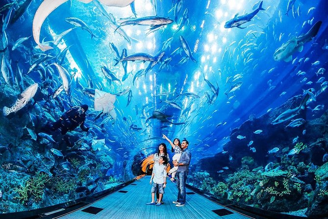 Burj Khalifa At the Top & Dubai Aquarium Combo Entrance Tickets - Peak Season Crowds and Waiting Times