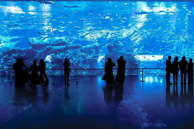 Burj Khalifa At the Top & Dubai Aquarium Combo Entrance Tickets - Accessibility Considerations and Recommendations