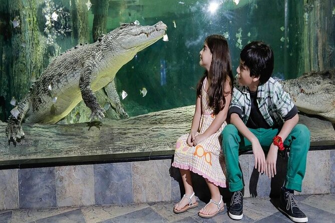 Burj Khalifa at the Top & Underwater Zoo Aquarium With Transfer - Customer Reviews and Feedback
