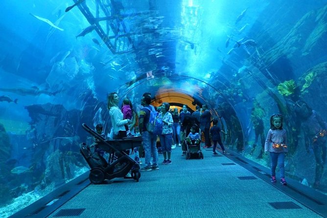 Burj Khalifa, Dubai Aquarium and Underwater Zoo Combo Tickets - Accessibility and Transportation