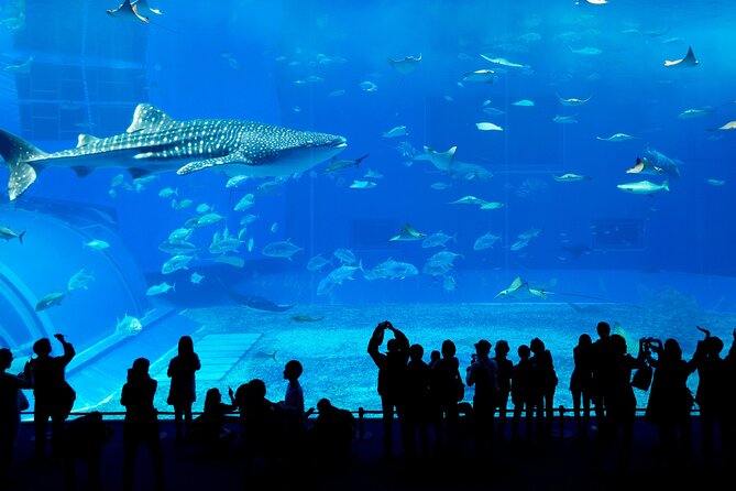 Burj Khalifa, Dubai Aquarium and Underwater Zoo Combo Tickets - Combo Ticket Benefits