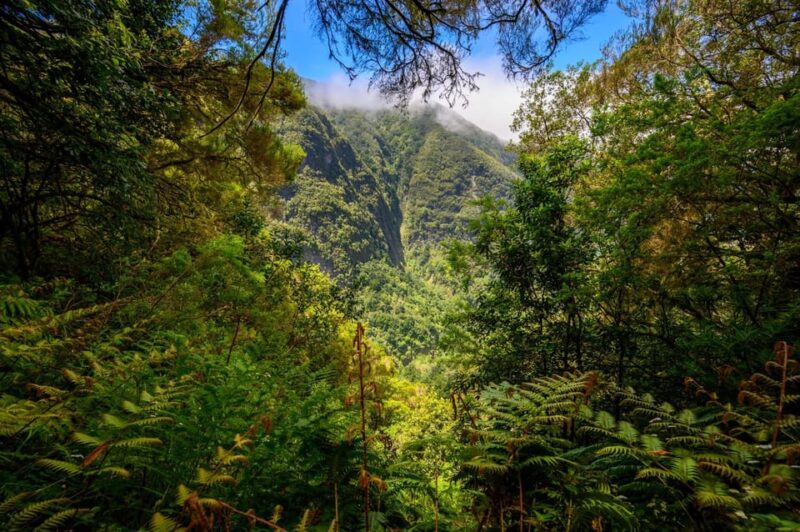 Burns Cauldron Green Madeira Island Walk - Itinerary Details