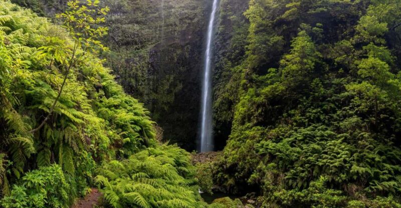 Burns Cauldron Green Madeira Island Walk - Additional Pickup Fees