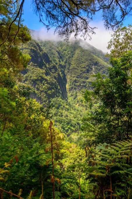 Burns Cauldron Green Madeira Island Walk - Frequently Asked Questions